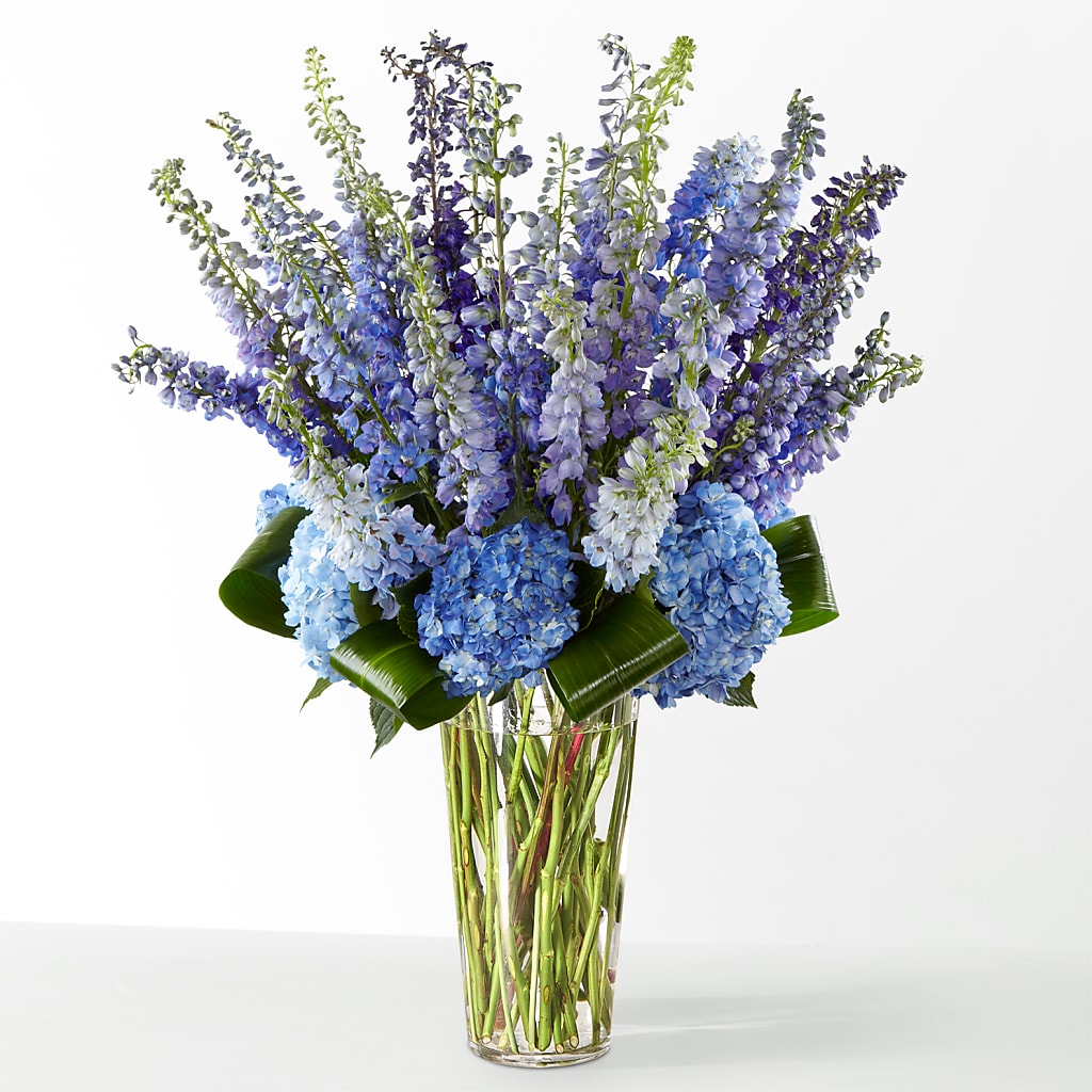 The Editorial –  Flowers Forever, Carlsbad CA