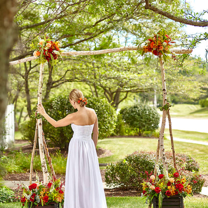 Arbor of Love Archway –  Flowers Forever, Carlsbad CA