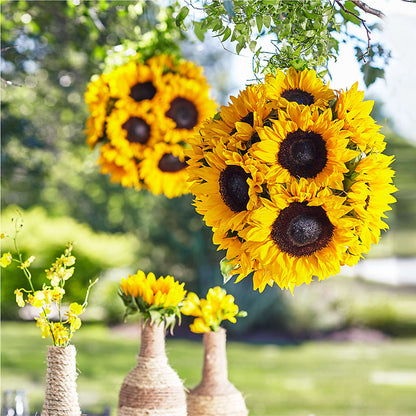 Sublime Garden Hanging Arrangement –  Flowers Forever, Carlsbad CA