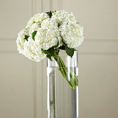 White Hydrangea Hand-Tied Bouquet –  Flowers Forever, Carlsbad CA