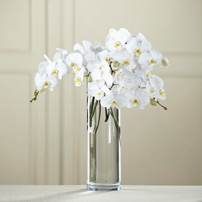 White Phalaenopsis Bouquet –  Flowers Forever, Carlsbad CA